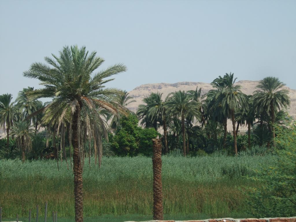 Luxor Palace Apartments Exterior foto
